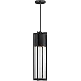 Hinkley Shelter Large Hanging Outdoor Lantern, LED Included, Aluminum, Clear Seedy Glass Shade, Dark Sky Compliant, Black Fin
