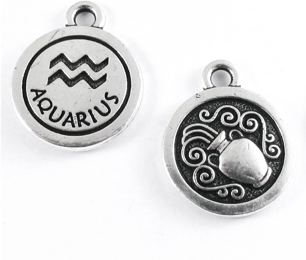 TierraCast Double Sided Pewter Zodiac Charms-Silver Aquarius (2 Pieces)