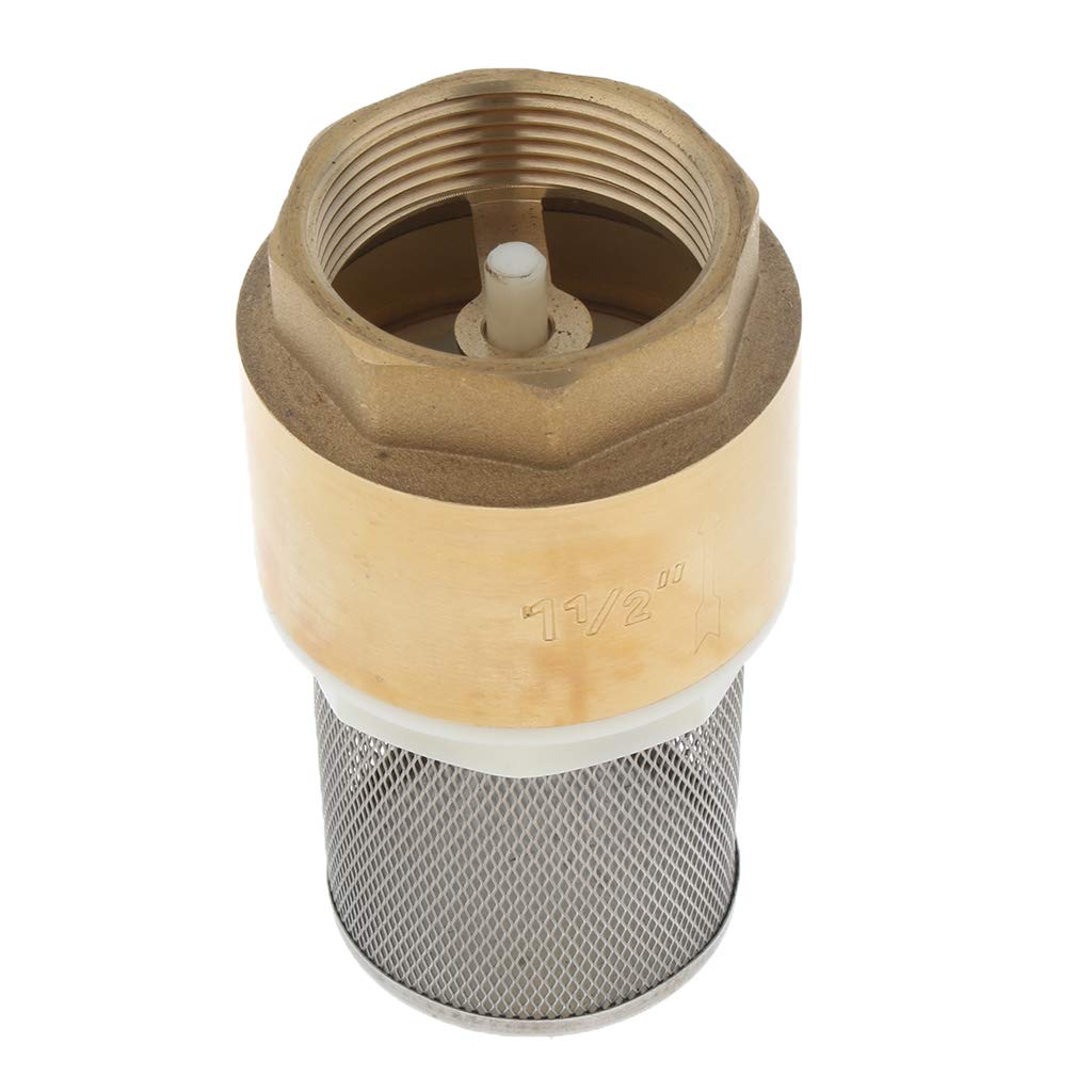 Brass Foot Valve Mesh Check Valve W/Strainer Filter, DN40 1 1/2 Inch