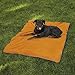 Insect Shield Insect Repellant Dog Blanket for Protecting Dogs from Fleas, Ticks, Mosquitoes & More