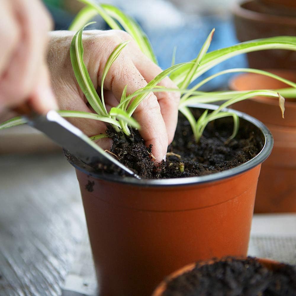 Augshy 110 Pcs 4" Plastic Plants Nursery Pot,Seed Starting Pots: Garden & Outdoor