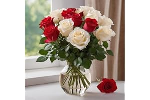 KaBloom PRIME NEXT DAY DELIVERY - Summer Collection - Holiday Collection: 12 Red and white Roses with Vase.Gift for Birthday, Anniversary, Thank You, Valentine, Mother’s Day Fresh Flowers