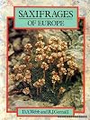 Saxifrages of Europe