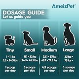 AmeizPet Pumpkin Powder For Dogs 200g Pumpkin Puree Fibre For Dogs view 6