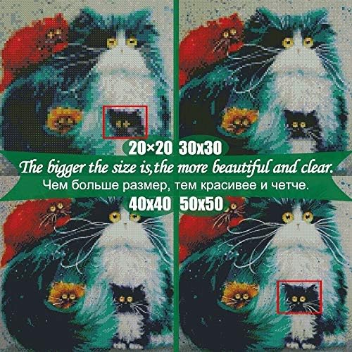 決算特価商品】！猫のフルスクエア/ラウンドストーンズの漫画5D 