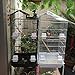 FDXDZSW 39″ Bird Parrot Cage Canary Parakeet Cockatiel Lovebird Finch Bird Cage with Wood Perches & Food Cupsthumb 1