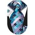 Dubulle Mens Paisley Striped Tie WOVEN Necktie for Men and Handkerchief Cufflinks Set Wedding Formal Business