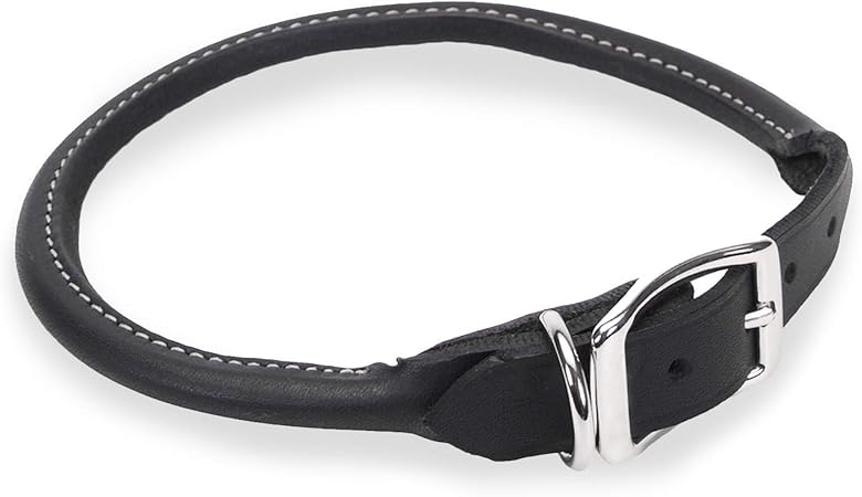 amazon rolled leather dog collar