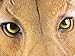 Things2Die4 Mountain Lion Head Mount Wall Statue Bust