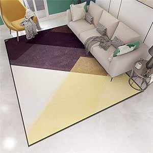 Hisunny Alfombras De Habitacion Alfombras de Habitacion Larga Alfombra