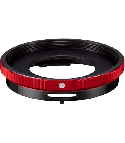 Amazon.com : OM SYSTEM Olympus TCON-T01 Tele Converter for TG