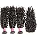 ALI JULIA 3 Bundles Brazilian Virgin Curly Hair Weft with 1pc 4 * 4 Lace Closure Free Part 7A Grade 100% Unprocessed Human Hair Extensions Natural Color(12 14 16 +12 inch closure)