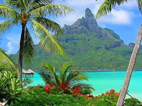 Rainbow Snail Canvas Prints - Bora Bora Resort South Polynesia Oil Painting On Canvas Modern Wall Art Pictures For Home Decoration (24 x 36 inch,Frameless)