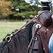 Rein Check Llc Dba Booma Rein Booma Rein Keeper
