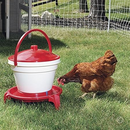 Amazon Com Premier Quick Clean Poultry Waterer Garden Outdoor