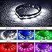 Blazin Light Up Dog Collar - The Original LED Dog Collar - USB Rechargeable - Waterproof - 1,000 Feet of Visibility - Dog Collar Light for Small, Medium, Large Dogs - USA Brand