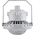 GREENLIGHTDEPOT 60W LED Explosion Proof Light for Class I Division 2 Hazardous Locations - 7400 Lumens - 175W HID Equivalent