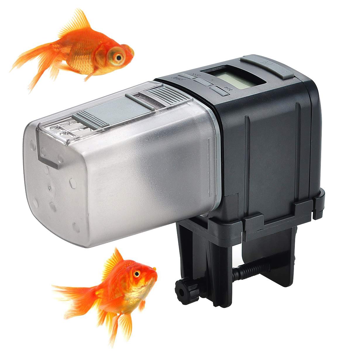 digital fish feeder