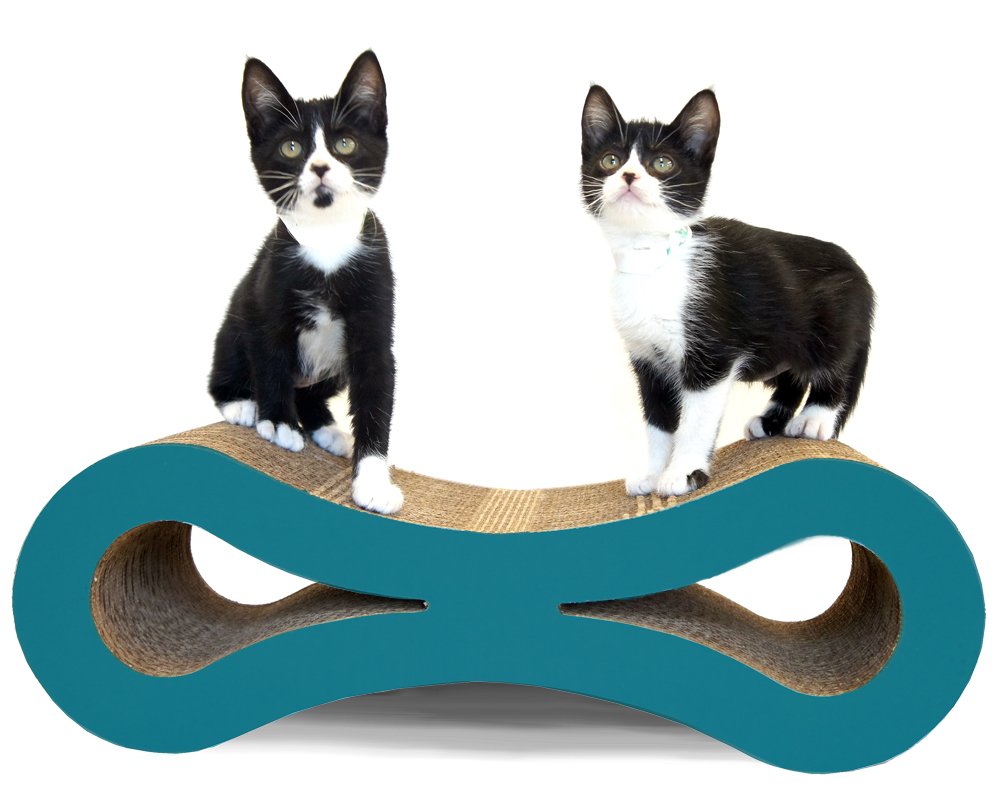 Figure 8 Cat Scratcher (Turquoise)