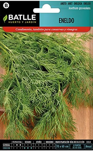 Semillas Aromáticas - Eneldo - Batlle: Amazon.es: Jardín