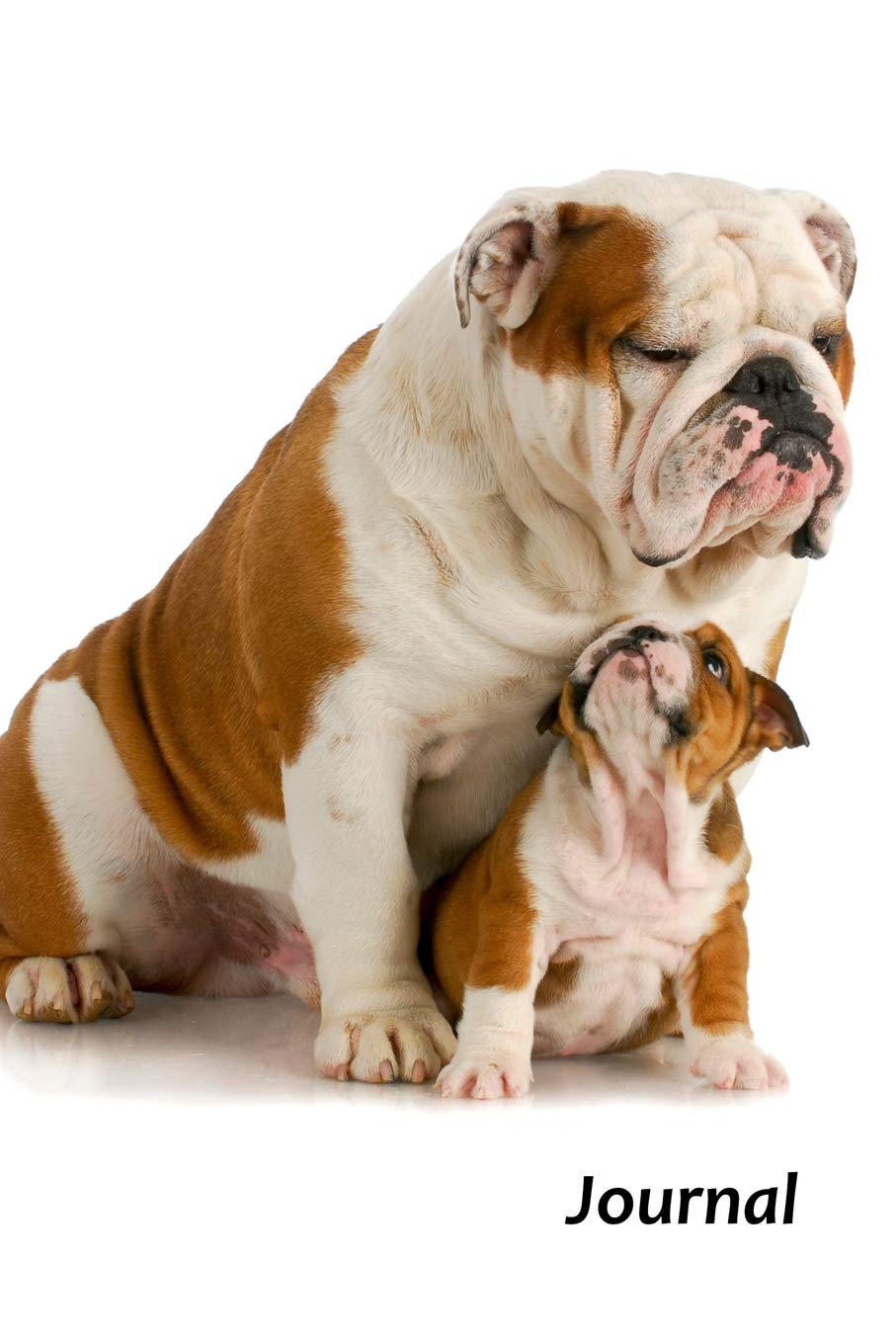 adorable bulldogs