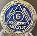 6 Month AA Medallion Reflex Blue Gold Plated Chip