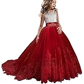 TTYAOVO Girls Embroidery Princess Dress Wedding Birthday Party Long Tail Prom Gowns