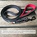 tobeDRI Heavy Duty Dog Leash - Comfortable Padded Handle, 6 ft Long - Dog Training Walking Leashes for Medium Large Dogs with A Free Collapsible Pet Bowl