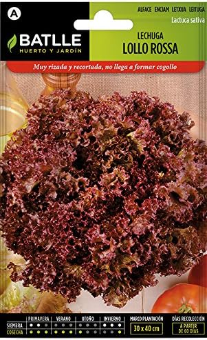 Seeds Batlle Batavia Milk Lollo Rosso Lettuce, Rossa
