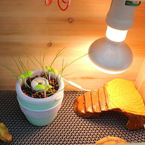 pranovo Reptile Fogger Humidifier Humidifying Fog Machine Terrarium Tank Potted Plant Pet Supplies for Amphibians Lizard Leopard Gecko Lizard Scorpion Crested Gecko Crickets Beetle