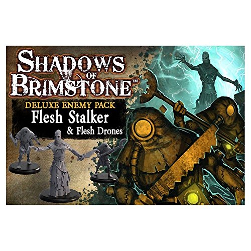 Shadows of Brimstone: Stalker and Flesh  Drones Deluxe Enemy Pack