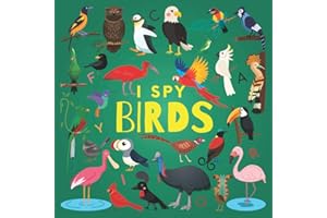 I Spy Birds: A Fun Guessing Game Picture Book for Kids Ages 2-5, Toddlers and Kindergartners ( Picture Puzzle Book for Kids )