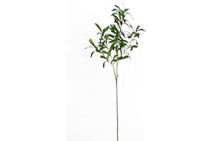 Xnferty 1PCS/4PCS Artificial Olive Branch, Faux Olive Tree Branches Greenery Stems Fake Eucalyptus Plants with Green Leaves F