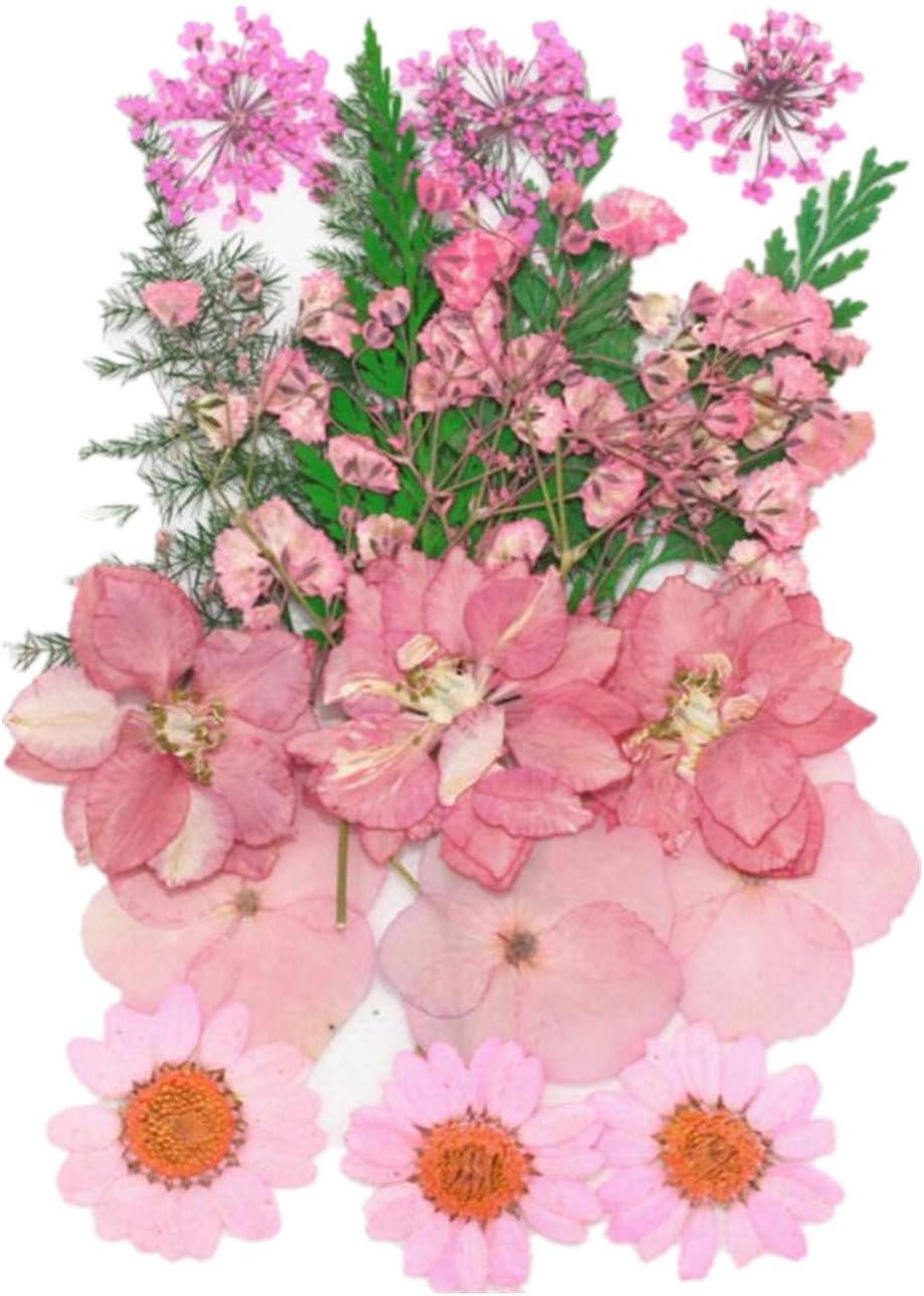 Assorted Nature Dried Flowers Pressed Flowers Leaves Mixed Pack Scrapbooking Embellishments for DIY Resin Ornament Crafts Candle Making (Pink)