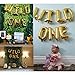 16 INCH Wild ONE Kids First Birthday Balloons with 12 PCS Artificial Palm Leaves, Baby Girl Boy 1st Bday Party Supplies with Air Pump
