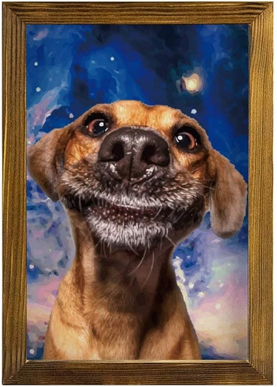 Amazon.com: FXH202004145AIM006Galaxy-dog Wooden Framed Sign Wall Art