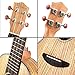 Donner Zebrawood Ukulele Soprano DUS-2 21 inch Ukulele Kit with Case Tuner Strap Nylon String