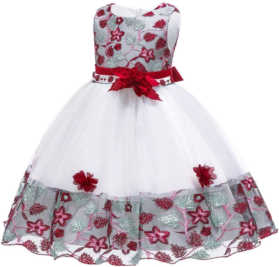 NSSMWTTC Flower Girls Dresses 0-9 Years Baby Toddler Embroidery Formal Dress