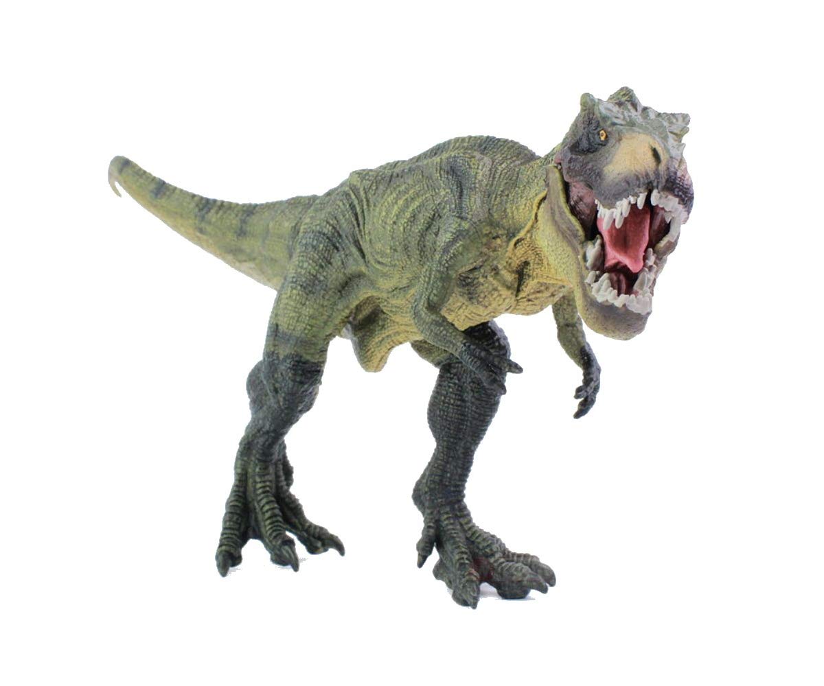 Mua ほうねん堂 恐竜 フィギュア ティラノサウルス リアル おもちゃ 精巧 大迫力 顎可動 口開閉 31 Tren Amazon Nhật Chinh Hang 21 Fado