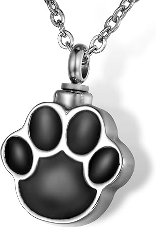 dog ashes necklace amazon
