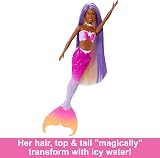 Barbie Mermaid Doll Brooklyn with Pink Hair & Color Change Water Accessory view 4