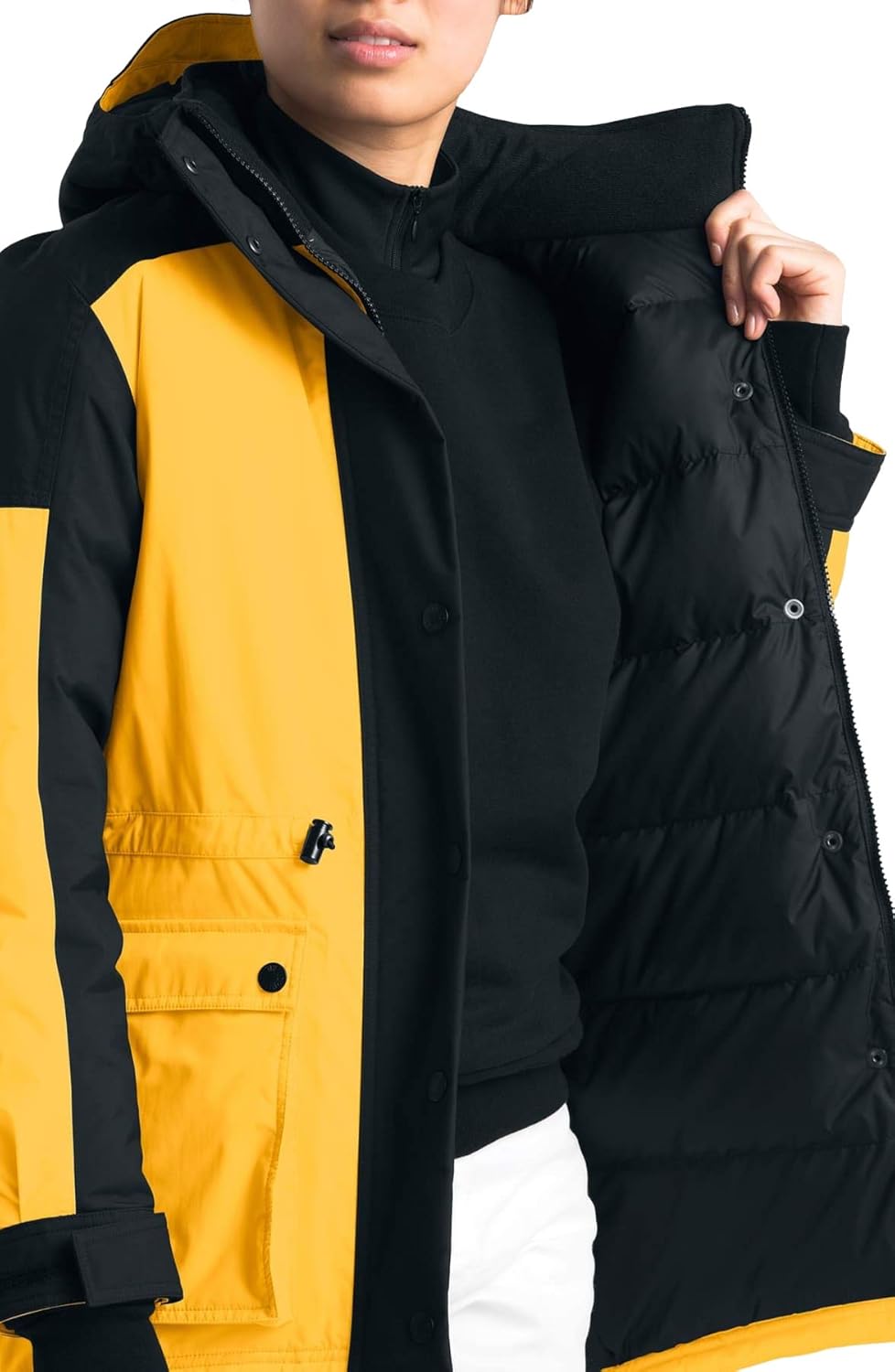 the north face women's down fill reign on down parka