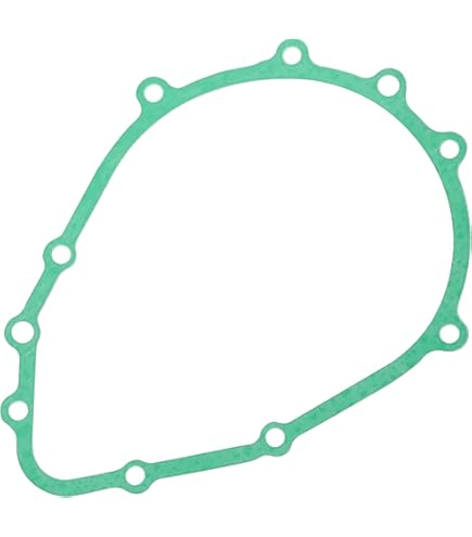 ANARCHY SHIN GASKET すね当て (M/L) 2008-2024 Kawasaki Ninja ZX14, Ninja ZX14R, ZX1400 OEM Head