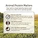 Instinct Limited Ingredient Diet Grain Free Turkey Meal Formula Natural Dry Cat Food By Nature'S Variety, 5.5 Lb. Bag