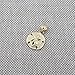 Beauniq 14k Yellow Gold Sand Dollar Pendant