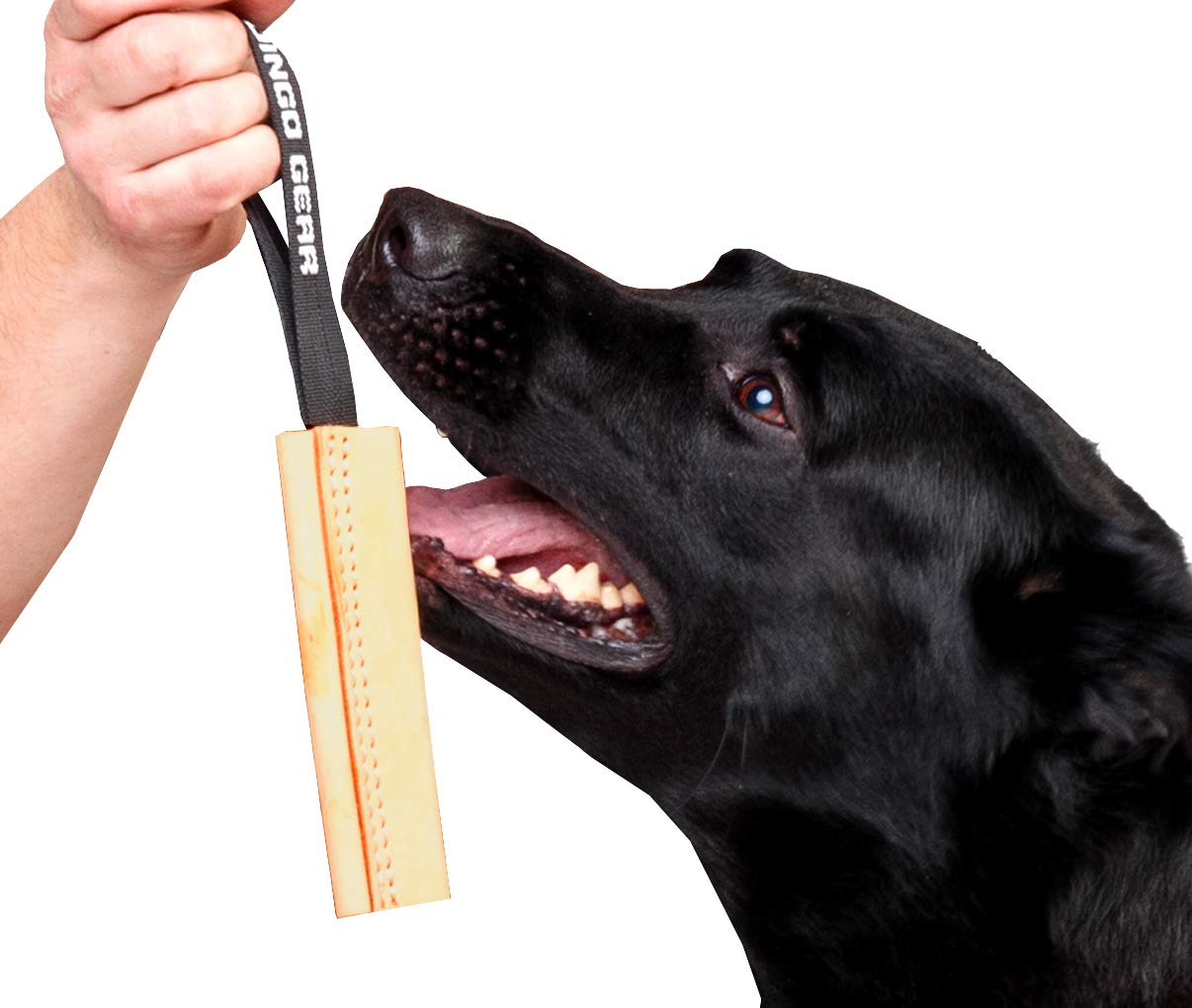 DINGO GEAR Dog Bite Tug Handmade of Beige Grain Leather, Strong Tug for Bite Training K9 IPO Agility and Just Fun S00231