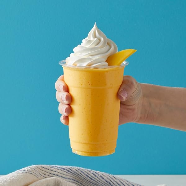 BIG TRAIN DRAGONFLY MANGO BLENDED CRÈME BEVERAGE MIX, 3.5 POUND (PACK OF 1)