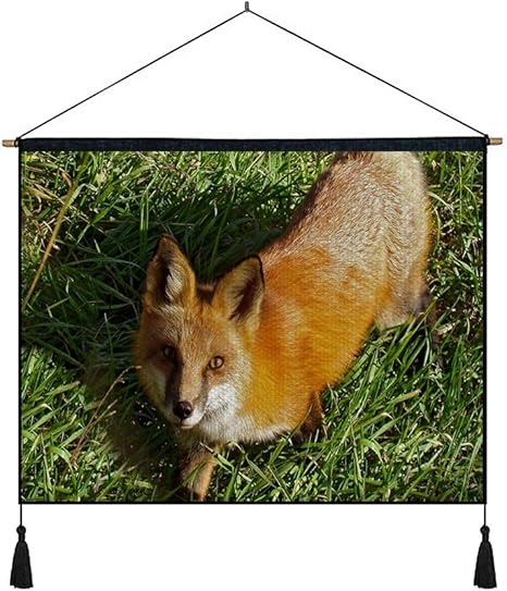 Amazon Co Jp 綿の麻 タペストリー 多機能 掛け軸 掛け物 横 70cmx50cm キツネの草の顔の目を歩く 個性 掛け軸 掛け物 掛けじく ポスター インテリア 組立式 部屋飾り壁 壁飾り ホーム キッチン Amazon Co Jp 綿の麻 タペストリー 多機能 掛け軸 掛け物 横 70cmx50cm キツネの草の顔の目を歩く 個性 掛け軸 掛け物 掛けじく ポスター インテリア 組立式 部屋飾り壁 壁飾り ホーム キッチン
