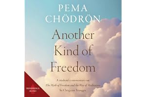 Another Kind of Freedom