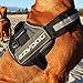 EzyDog Convert Dog Harness – Trail-Ready Rugged Harness for Walking, Hiking & Outdoors with Reflective Piping, Badge Attachment Points, Traffic handle, & Comfort Lining (Large, Charcoal)